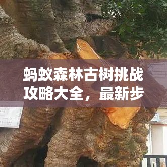 蚂蚁森林古树挑战攻略大全，最新步骤解析，轻松玩转古树挑战！