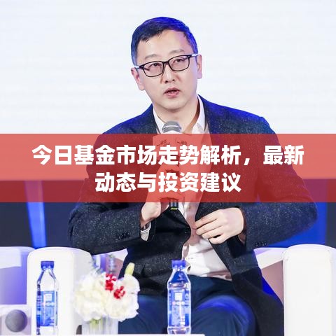 今日基金市场走势解析，最新动态与投资建议