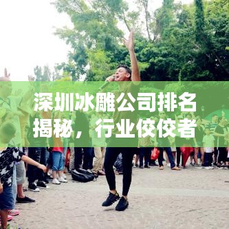 深圳冰雕公司排名揭秘,行业佼佼者一览无余