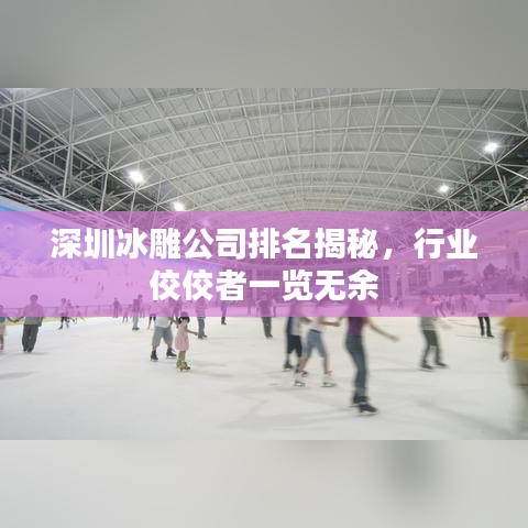 深圳冰雕公司排名揭秘,行业佼佼者一览无余