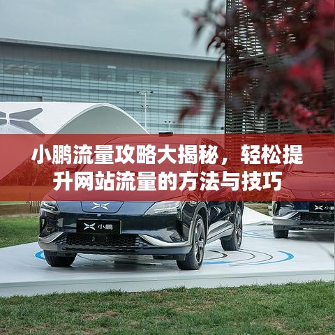 小鹏流量攻略大揭秘，轻松提升网站流量的方法与技巧