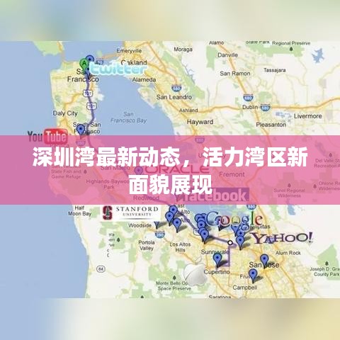深圳湾最新动态，活力湾区新面貌展现