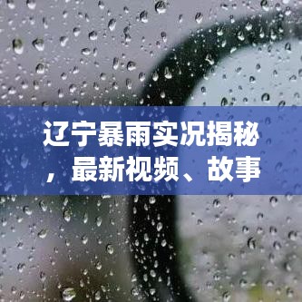 辽宁暴雨实况揭秘，最新视频、故事背景与应对之策