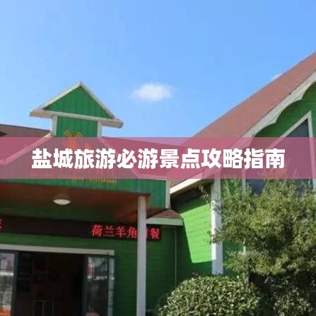 盐城旅游必游景点攻略指南
