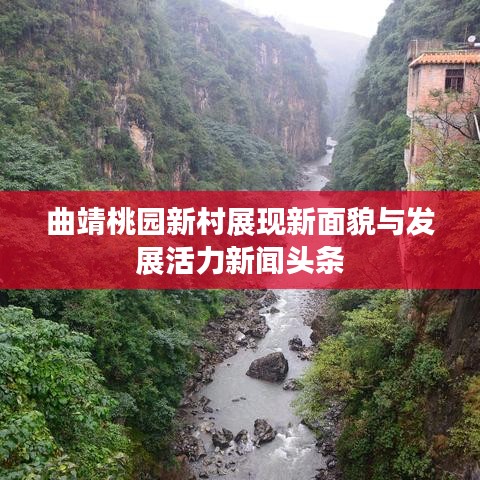 曲靖桃园新村展现新面貌与发展活力新闻头条