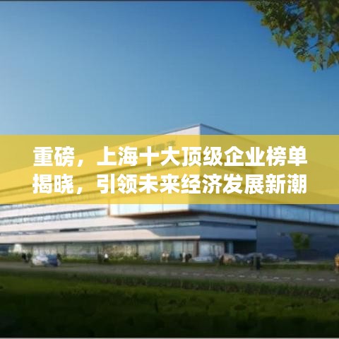 重磅，上海十大顶级企业榜单揭晓，引领未来经济发展新潮流！