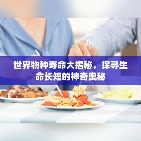 世界物种寿命大揭秘，探寻生命长短的神奇奥秘