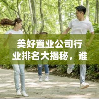 美好置业公司行业排名大揭秘，谁是行业翘楚？