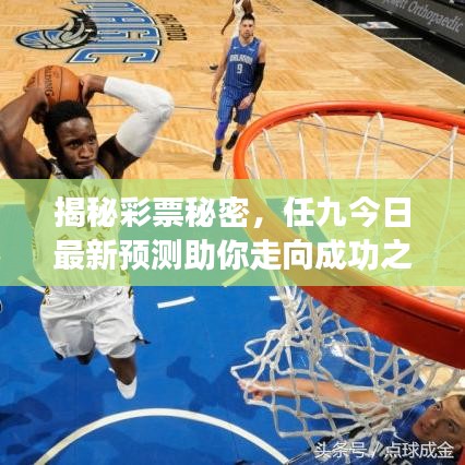 揭秘彩票秘密，任九今日最新预测助你走向成功之路