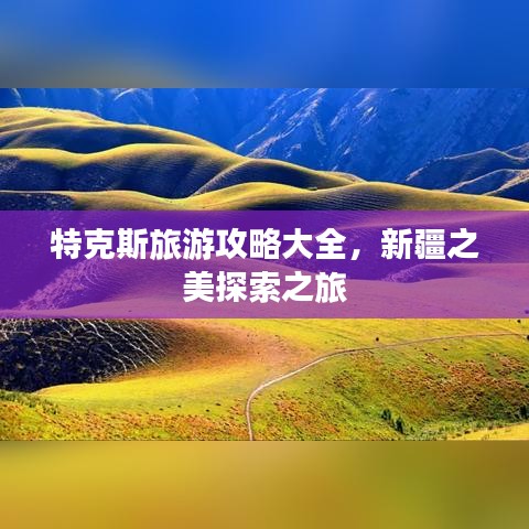 特克斯旅游攻略大全，新疆之美探索之旅