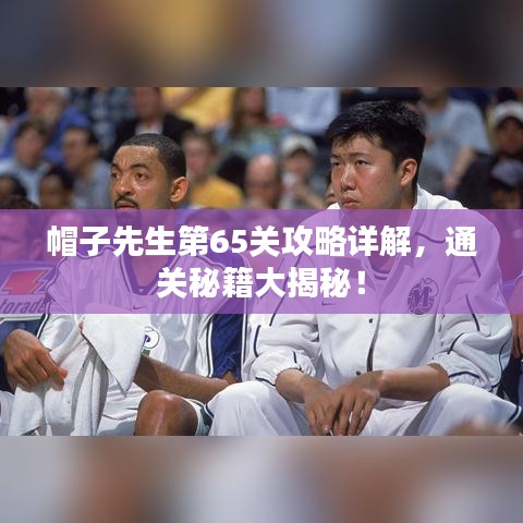 帽子先生第65关攻略详解，通关秘籍大揭秘！