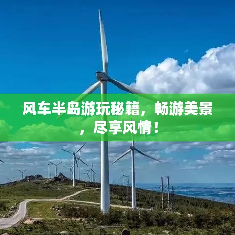 风车半岛游玩秘籍,畅游美景,尽享风情!