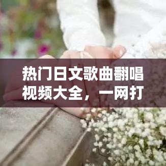 热门日文歌曲翻唱视频大全，一网打尽最新佳作！