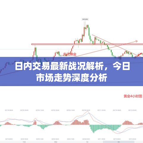 日内交易最新战况解析，今日市场走势深度分析