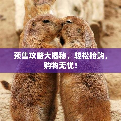预售攻略大揭秘，轻松抢购，购物无忧！