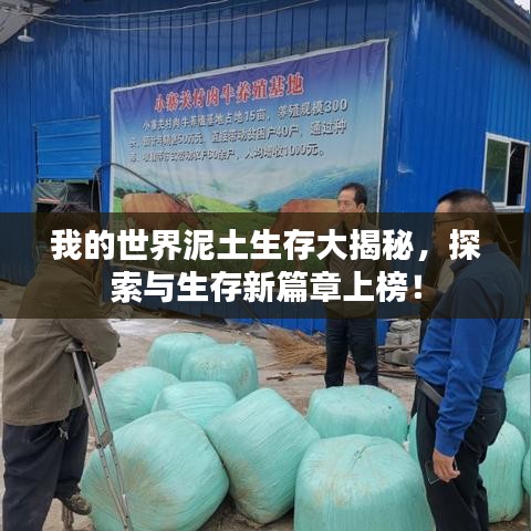 我的世界泥土生存大揭秘，探索与生存新篇章上榜！