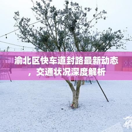 渝北区快车道封路最新动态，交通状况深度解析