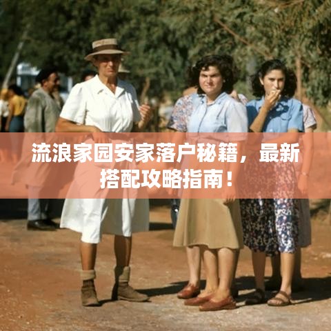 流浪家园安家落户秘籍，最新搭配攻略指南！