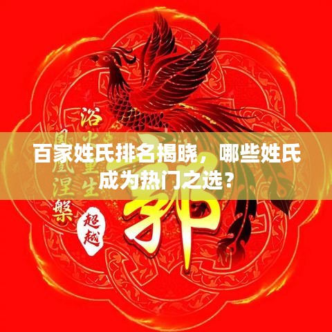 百家姓氏排名揭晓，哪些姓氏成为热门之选？