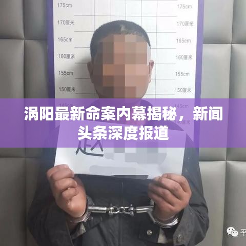 涡阳最新命案内幕揭秘，新闻头条深度报道