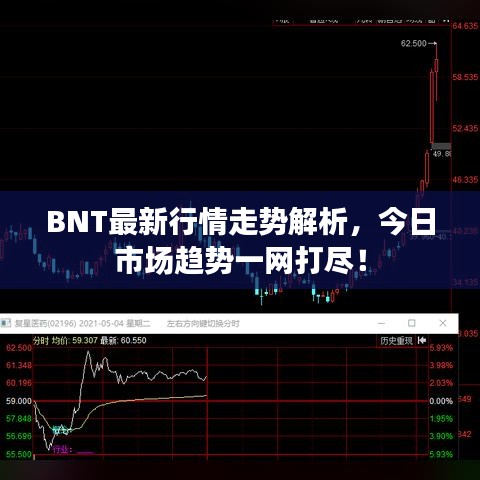 BNT最新行情走势解析，今日市场趋势一网打尽！