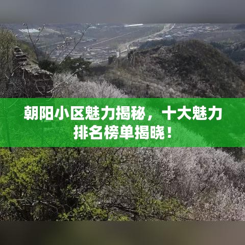 朝阳小区魅力揭秘，十大魅力排名榜单揭晓！