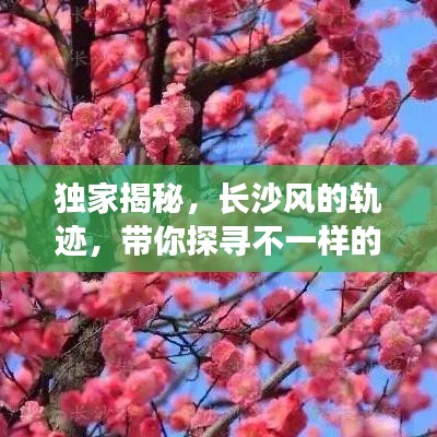 独家揭秘,长沙风的轨迹,带你探寻不一样的旅游胜地攻略!