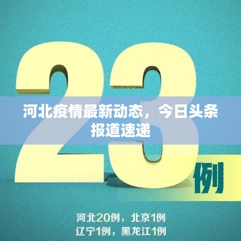 河北疫情最新动态，今日头条报道速递