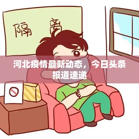 河北疫情最新动态,今日头条报道速递