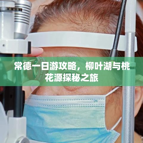 常德一日游攻略，柳叶湖与桃花源探秘之旅