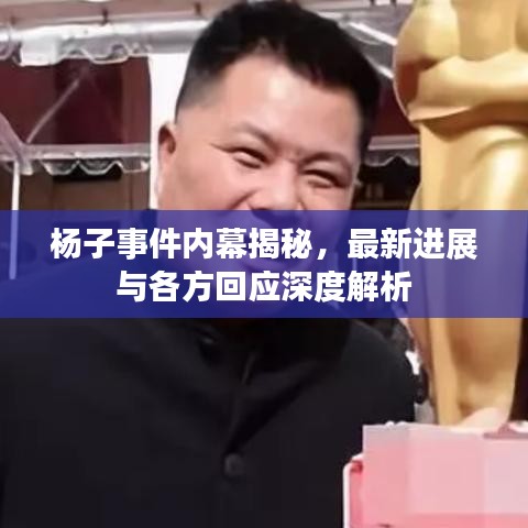 杨子事件内幕揭秘，最新进展与各方回应深度解析