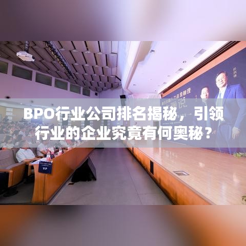 BPO行业公司排名揭秘，引领行业的企业究竟有何奥秘？