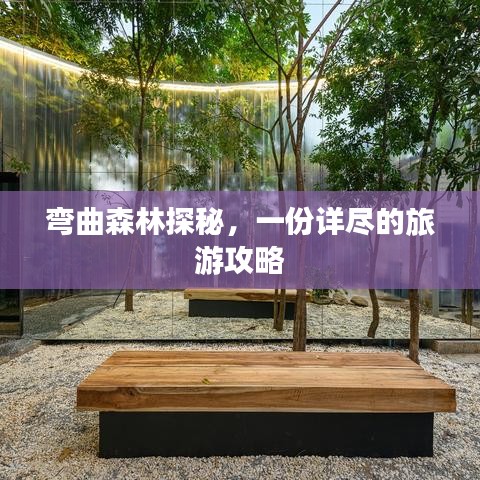 弯曲森林探秘，一份详尽的旅游攻略