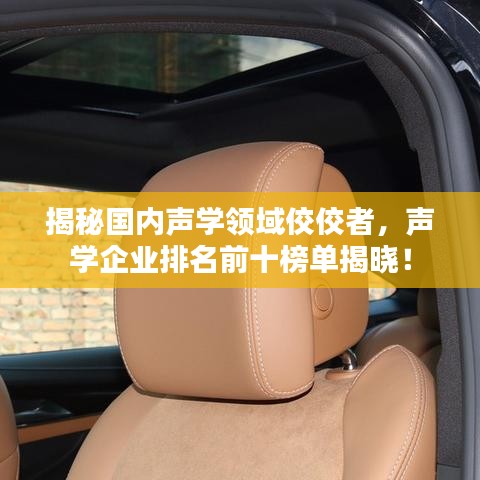 揭秘国内声学领域佼佼者,声学企业排名前十榜单揭晓!