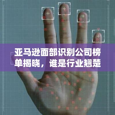 亚马逊面部识别公司榜单揭晓，谁是行业翘楚？