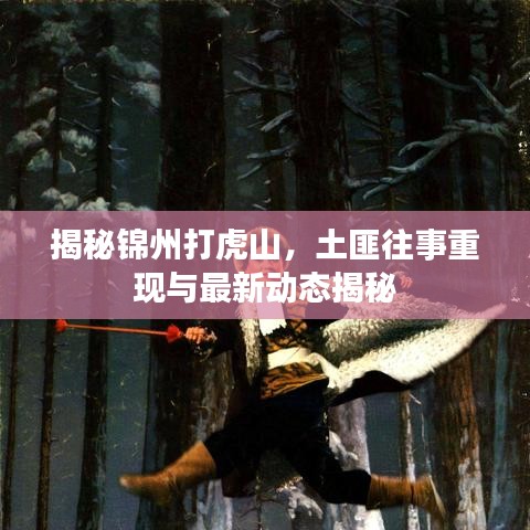 揭秘锦州打虎山，土匪往事重现与最新动态揭秘