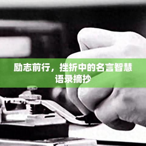 励志前行，挫折中的名言智慧语录摘抄