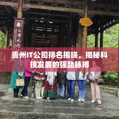 贵州IT公司排名揭晓，揭秘科技发展的强劲脉搏
