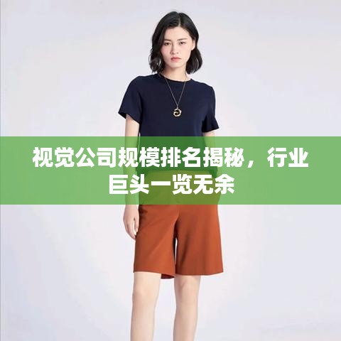 视觉公司规模排名揭秘，行业巨头一览无余