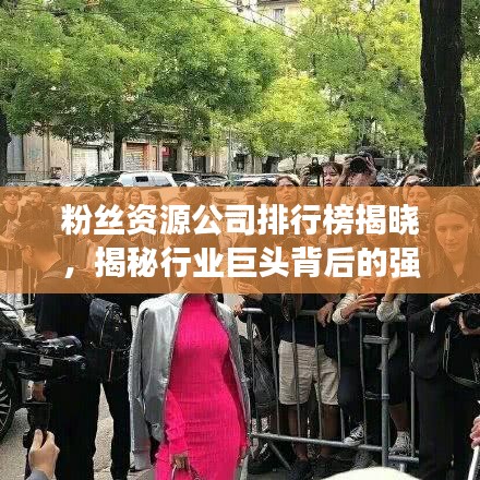 粉丝资源公司排行榜揭晓，揭秘行业巨头背后的强大力量