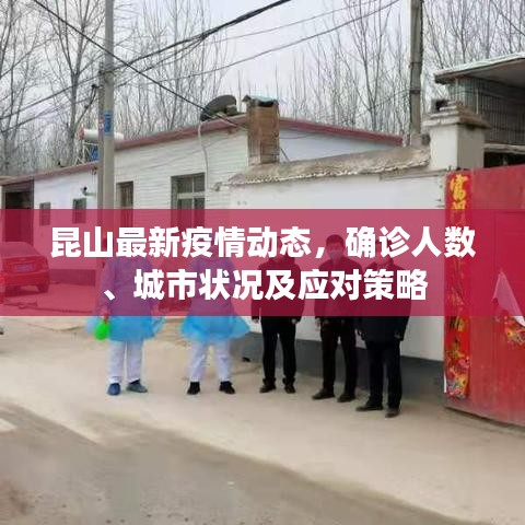 昆山最新疫情动态，确诊人数、城市状况及应对策略