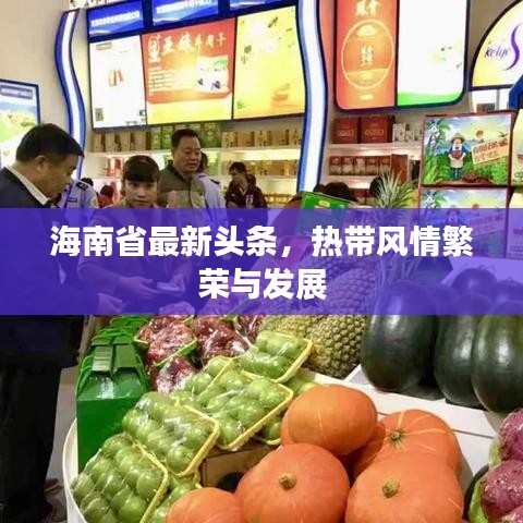 海南省最新头条，热带风情繁荣与发展