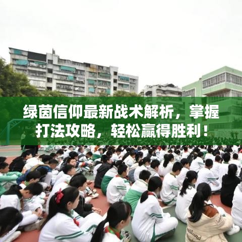 绿茵信仰最新战术解析，掌握打法攻略，轻松赢得胜利！