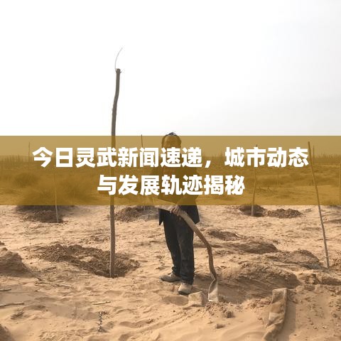 今日灵武新闻速递,城市动态与发展轨迹揭秘