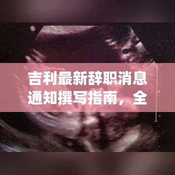 吉利最新辞职消息通知撰写指南，全面解读离职流程，助你顺利离职！