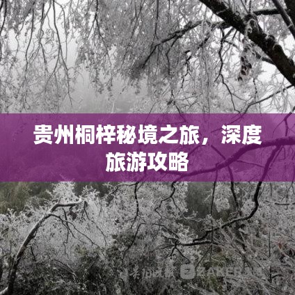 贵州桐梓秘境之旅，深度旅游攻略
