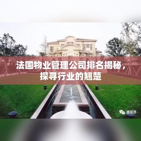 法国物业管理公司排名揭秘，探寻行业的翘楚