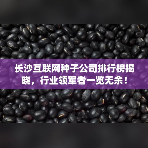 长沙互联网种子公司排行榜揭晓，行业领军者一览无余！