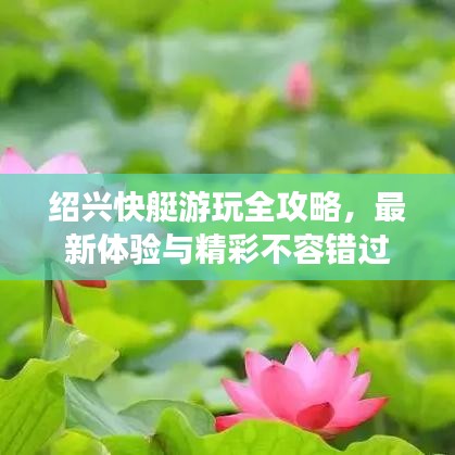 绍兴快艇游玩全攻略，最新体验与精彩不容错过