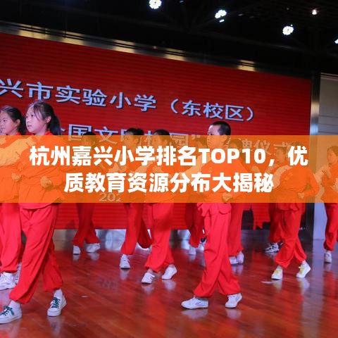 杭州嘉兴小学排名TOP10，优质教育资源分布大揭秘